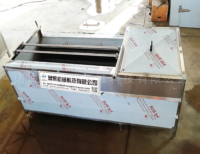 大姜毛輥去皮清洗機